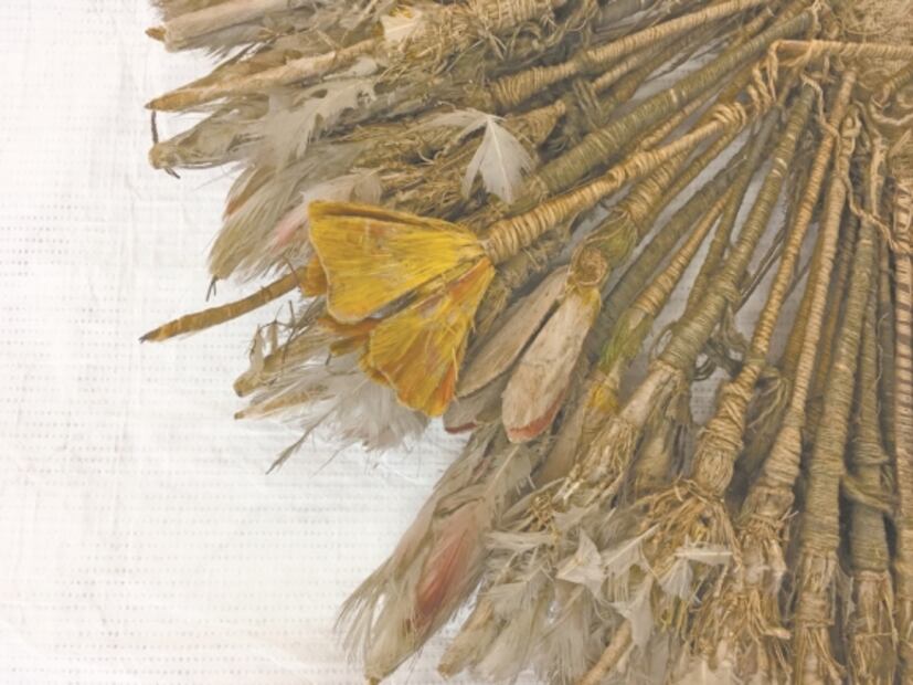 "Penacho de Cuauhtémoc" en tela de juicio; lo estudian expertos de México y Francia