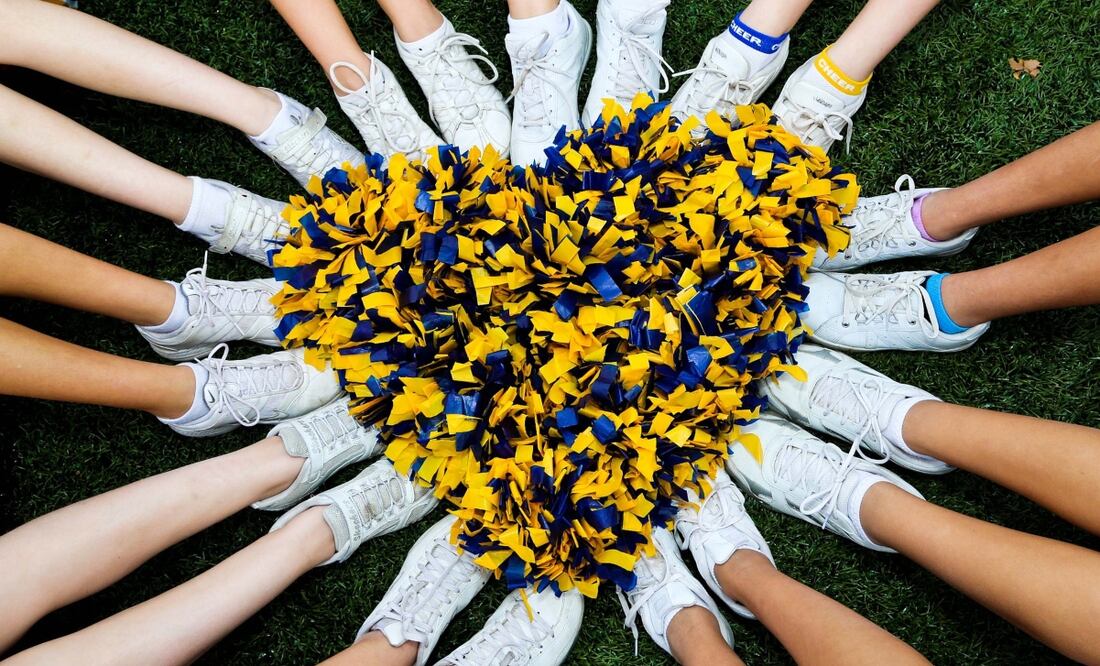 Con videos falsos logró engañar a todos. Imagen Pixabay