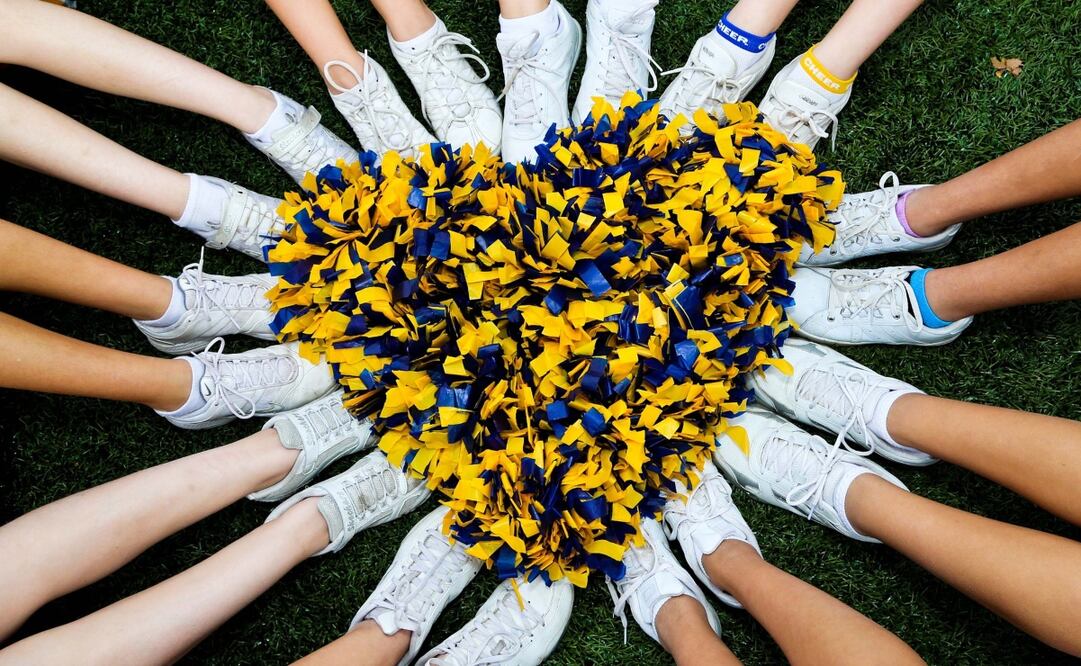 Con videos falsos logró engañar a todos. Imagen Pixabay