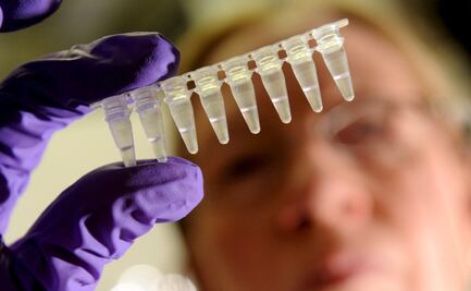 Un nuevo estudio revela detalles sobre cómo se produce la saliva