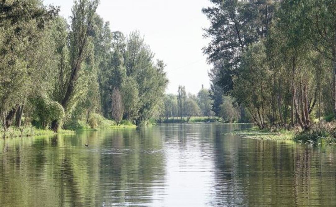 Delegado en Xochimilco busca rescatar delegación