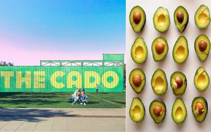 Abrirán museo dedicado al aguacate