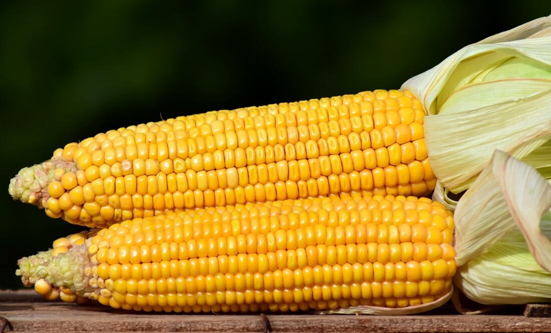 Es una buena fuente de fibra / Foto: Pixabay