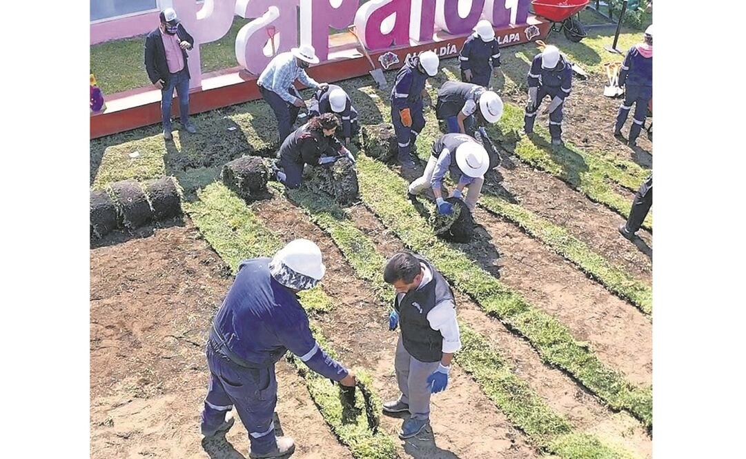 Alcaldes de Morena impulsarán también la venta de nochebuenas. Foto: ESPECIAL