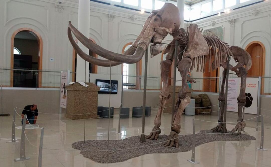 Es presentado por el INAH de manera itinerante en los principales museos del país. Foto: Cortesía INAH