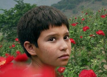 “Noche de Fuego” arrasa en las nominaciones de los Premios Ariel