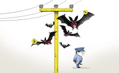 Las granjas cripto del SME, otro caso de impunidad con Gertz