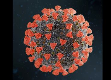 Matemáticas responden por qué el Covid-19 daña algunos órganos