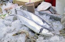 No debes descongelar así el pescado porque es peligroso