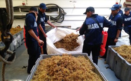 Semar y Quintana Roo acuerdan estrategia para atención del sargazo