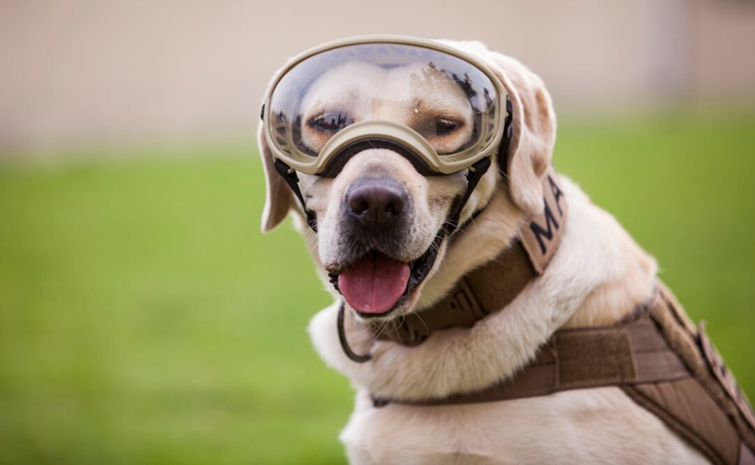 La clínica se inaugurará en las primeras semanas de agosto, prevé la delegación Coyoacán. Foto: Archivo / EL UNIVERSAL