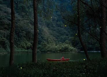 Tlatlauquitepec: lánzate a su Festival de Luciérnagas