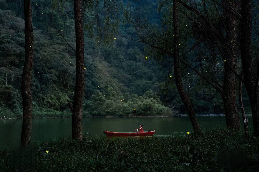 Este recorrido en lancha es único en el país. Foto: Liz Matamoros PLWMA y Coordinación de turismo de Tlatlauquitepec.