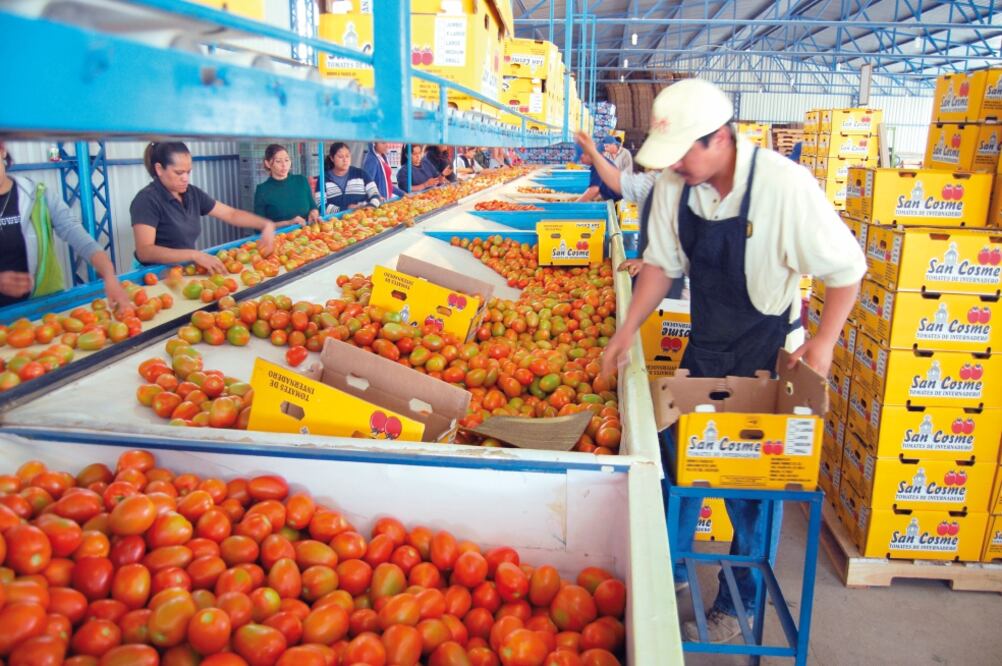 Para agricultura, Estados Unidos pretende limitar exportaciones a una lista de 60 productos en temporada de cosecha de cada país (ARCHIVO EL UNIVERSAL)