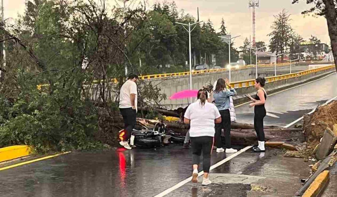En Hacienda de la Luz, en la calle Orquídea, cayó una rama, un árbol de unos 3 metros de largo, sin que se registraran víctimas, informaron autoridades municipales. Foto: Especial