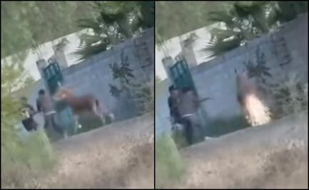 VIDEO: Jóvenes prenden pirotecnia en la cola de un burrito en Querétaro