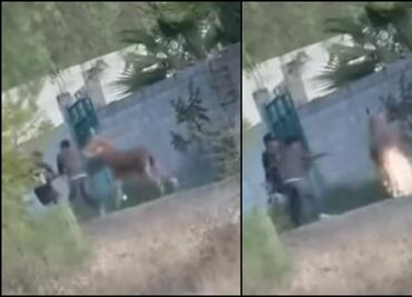 VIDEO: Jóvenes prenden pirotecnia en la cola de un burrito en Querétaro