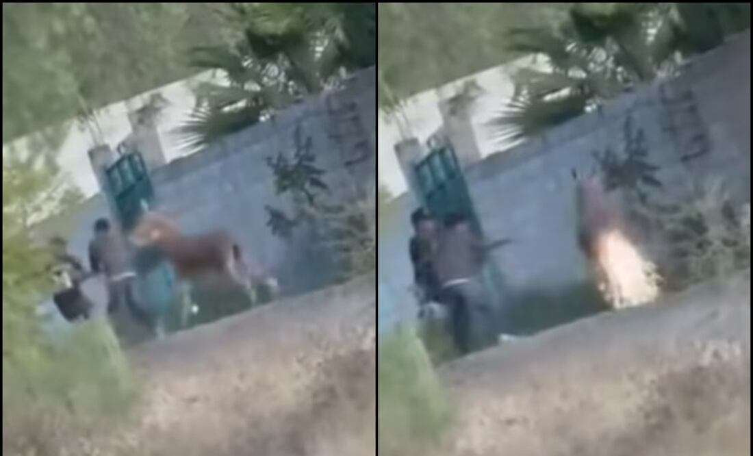 La agresión provocó el enojo de los usuarios de redes sociales, quienes exigen justicia y un castigo ejemplar para los responsables. Foto: Captura de pantalla