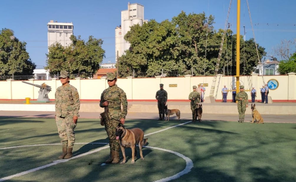 Realizan ceremonia de retiro a "Gaia", elemento canino de la Marina que trabajó detectando narcóticos (23/03/2026). Foto: Especial