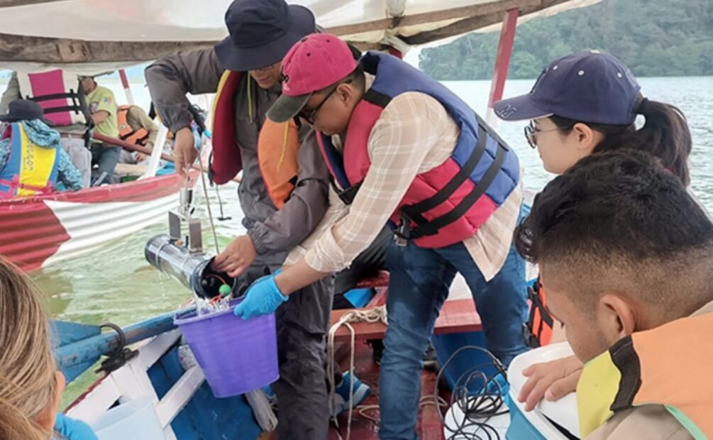 Científicos detectaron que en las aguas de las presas hay lirio acuático que produce impactos ecológicos negativos (05/05/2025). Foto: Especial