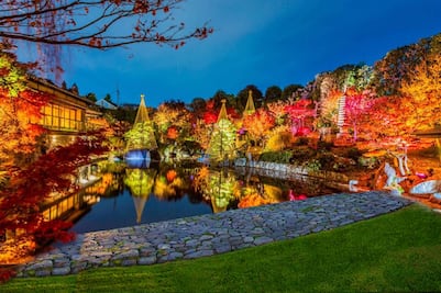 Instalaciones de luces y otras experiencias para conocer Japón en CDMX