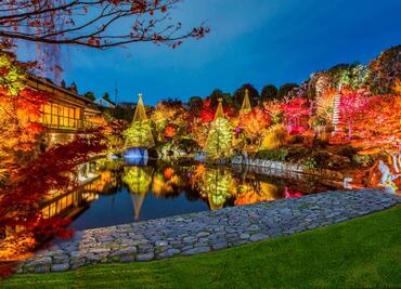 Instalaciones de luces y otras experiencias para conocer Japón en CDMX
