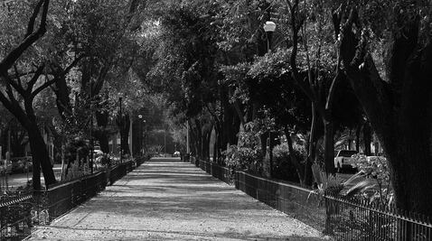 Conoce el origen de la Colonia Condesa y qué lugares puedes visitar