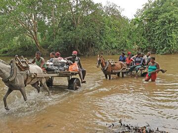 Cártel de Sinaloa, tras el tráfico de migrantes