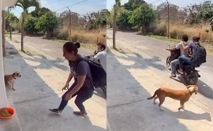 Captan a pareja robando comida a perritos de la calle en Cuautla; video genera indignación en redes