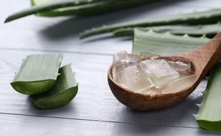 Uso incorrecto de aloe vera; descubre los riesgos ocultos para tu bienestar