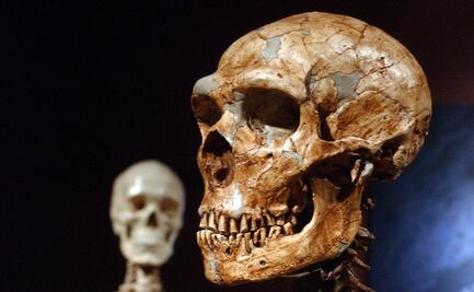 Por genes neandertal sientes más el dolor