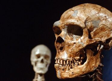 Por genes neandertal sientes más el dolor