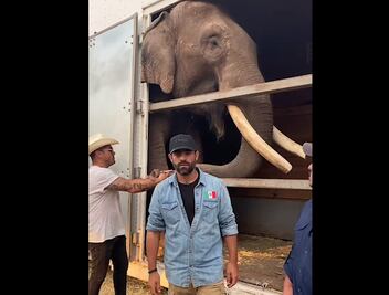 Arturo Islas contesta a críticas sobre la liberación de Big Boy: "No es un tema personal"