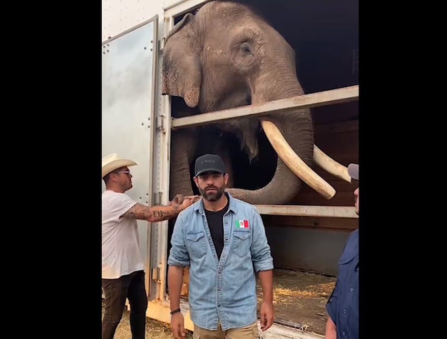 Arturo Islas y Big Boy. Foto: Captura Instagram