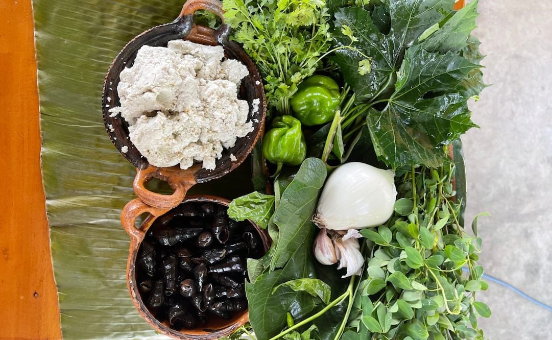 La cocina tabasqueña destaca por el uso de plantas y hierbas para perfumar y dar sabor a sus alimentos Foto: Chef Lupita Vidal 