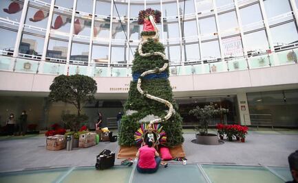 Derrumban el árbol del Senado