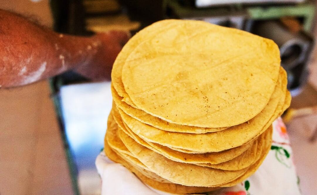 Barley tortillas created by IPN scientists - Photo: Courtesy of EFE and the IPN