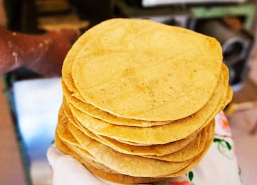 Mexican scientists fight obesity with barley tortillas