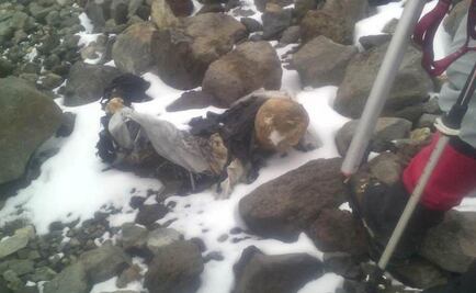 Practicarán nuevos estudios a momia