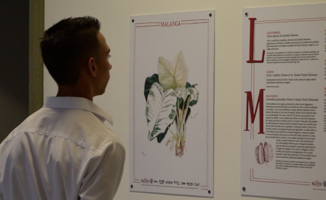 Nuevas lecturas de "Cien años de soledad" generaron que el Boletín Cultural y Bibliográfico del Banco de la República de Colombia publicara un número dedicado a Gabriel García Márquez. 