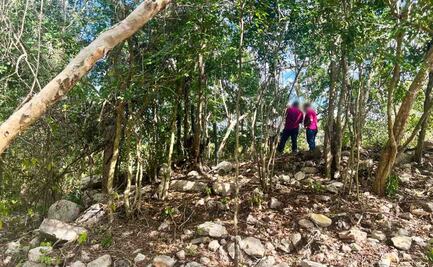 Clausuran actividades irregulares en área natural protegida de Yucatán; Profepa encuentra vestigios arqueológicos