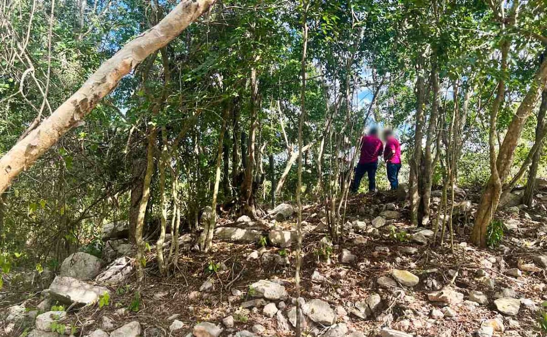 Profepa clausura de forma temporal actividades irregulares en predio en Dzibilchaltún, Yucatán. Foto: Especial