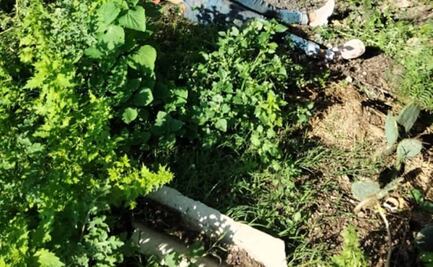 Asesinan a niña de 12 años y dejan su cadáver cerca de su casa en Edomex