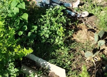 Asesinan a niña de 12 años y dejan su cadáver cerca de su casa en Edomex