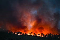 Por incendios en Francia, movilizarán mil 500 militares para combatir las llamas; ayudarán a evacuar las zonas amenazadas