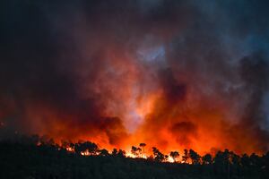 Por incendios en Francia, movilizarán mil 500 militares para combatir las llamas; ayudarán a evacuar las zonas amenazadas