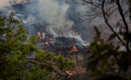 Combaten incendio forestal en Tepoztlán