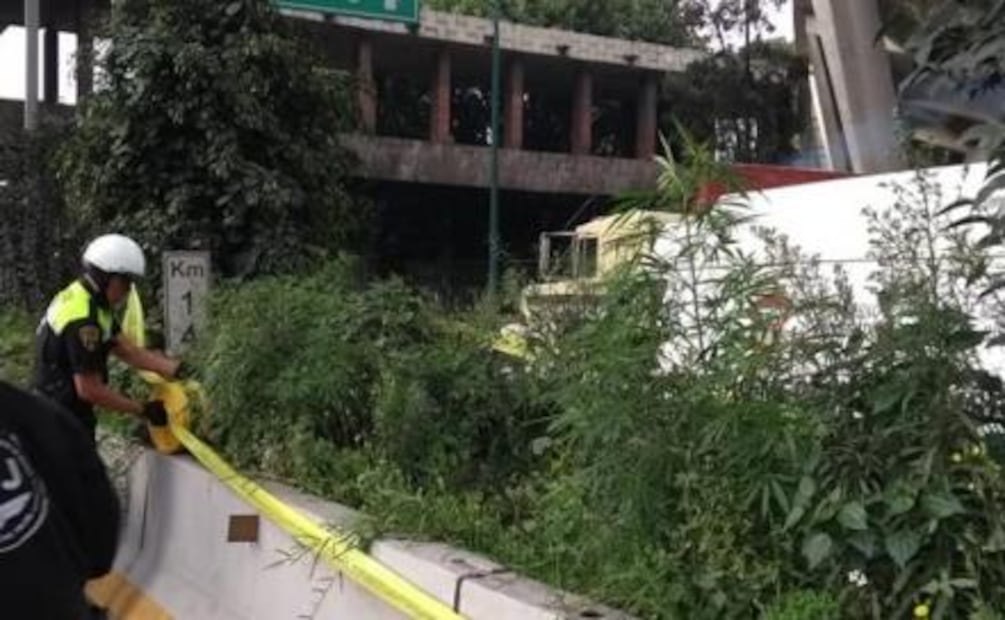Hallan plantas de marihuana en jardinera de Periférico