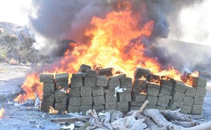 Incineran en Tamaulipas más de 3 mil kilos de droga asegurada