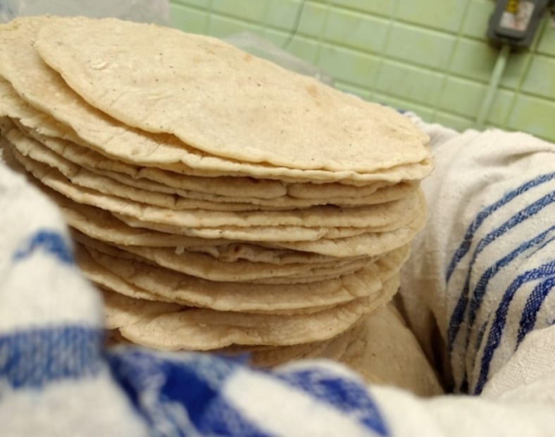 Comer una tortilla de calidad, nixtamalizada y sin colorantes pronto será ley 